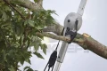 Teleskopowa piła ręczna Milwaukee 330mm 4932498626